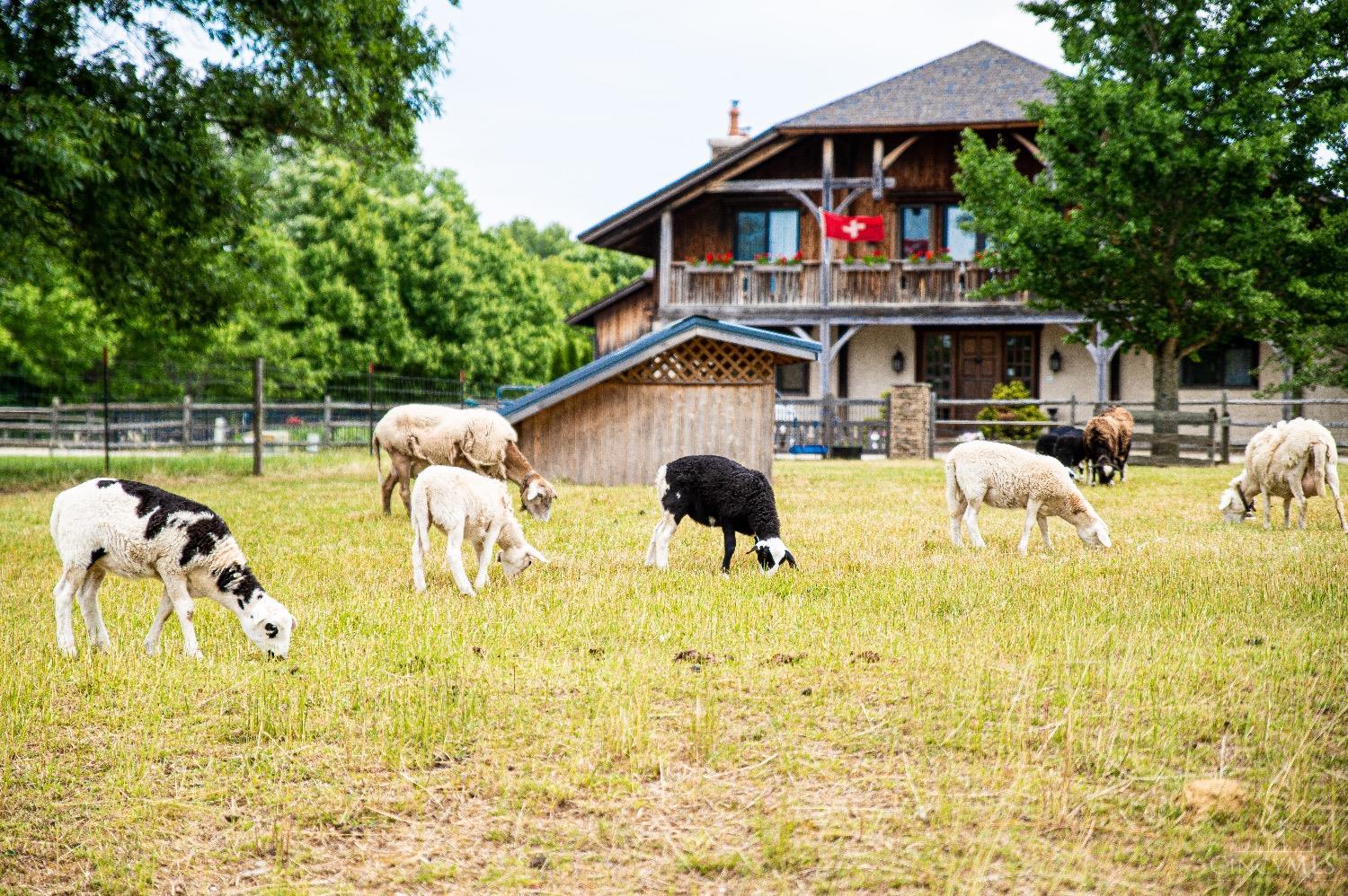 803 Karner Blue Lane