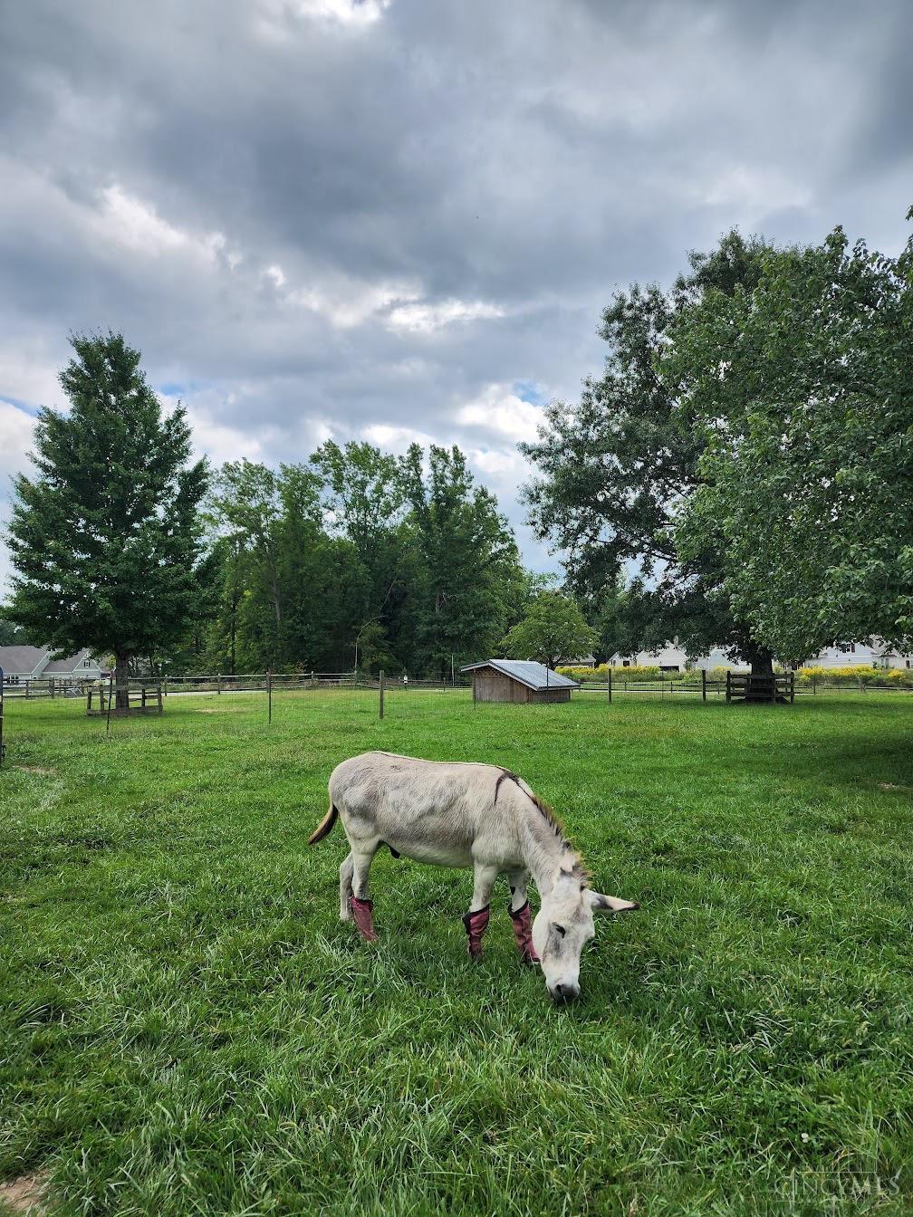 803 Karner Blue Lane