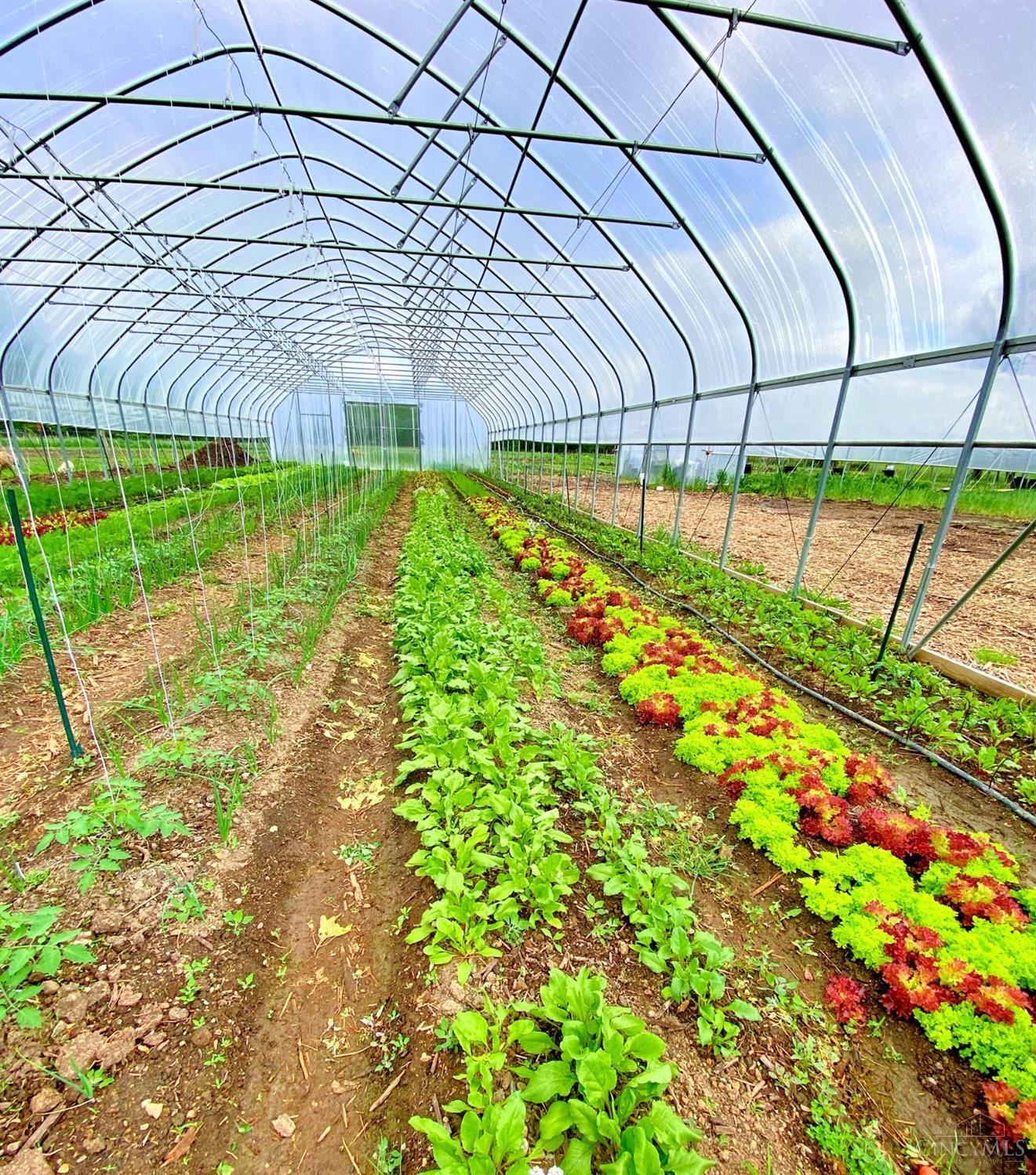 803 Karner Blue Lane