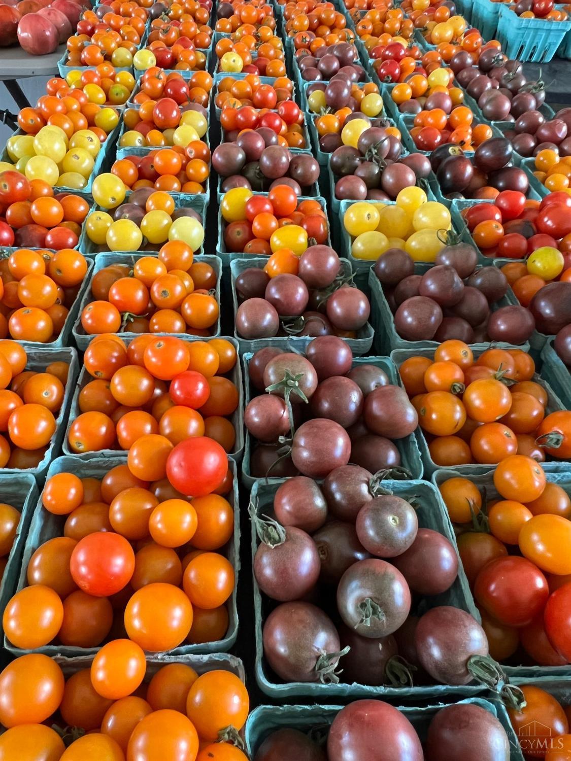 803 Karner Blue Lane