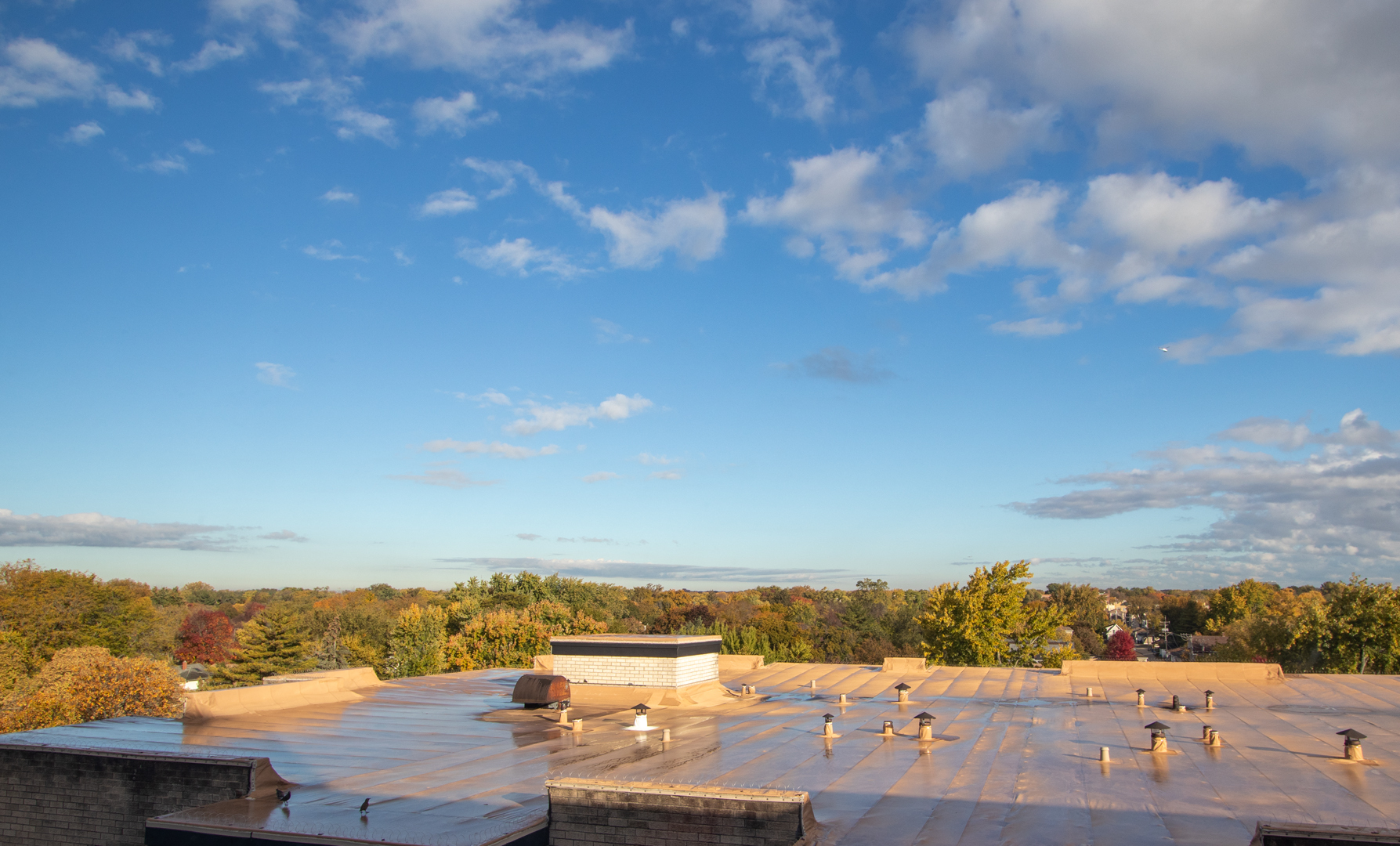 314 Lathrop Avenue Unit: 604