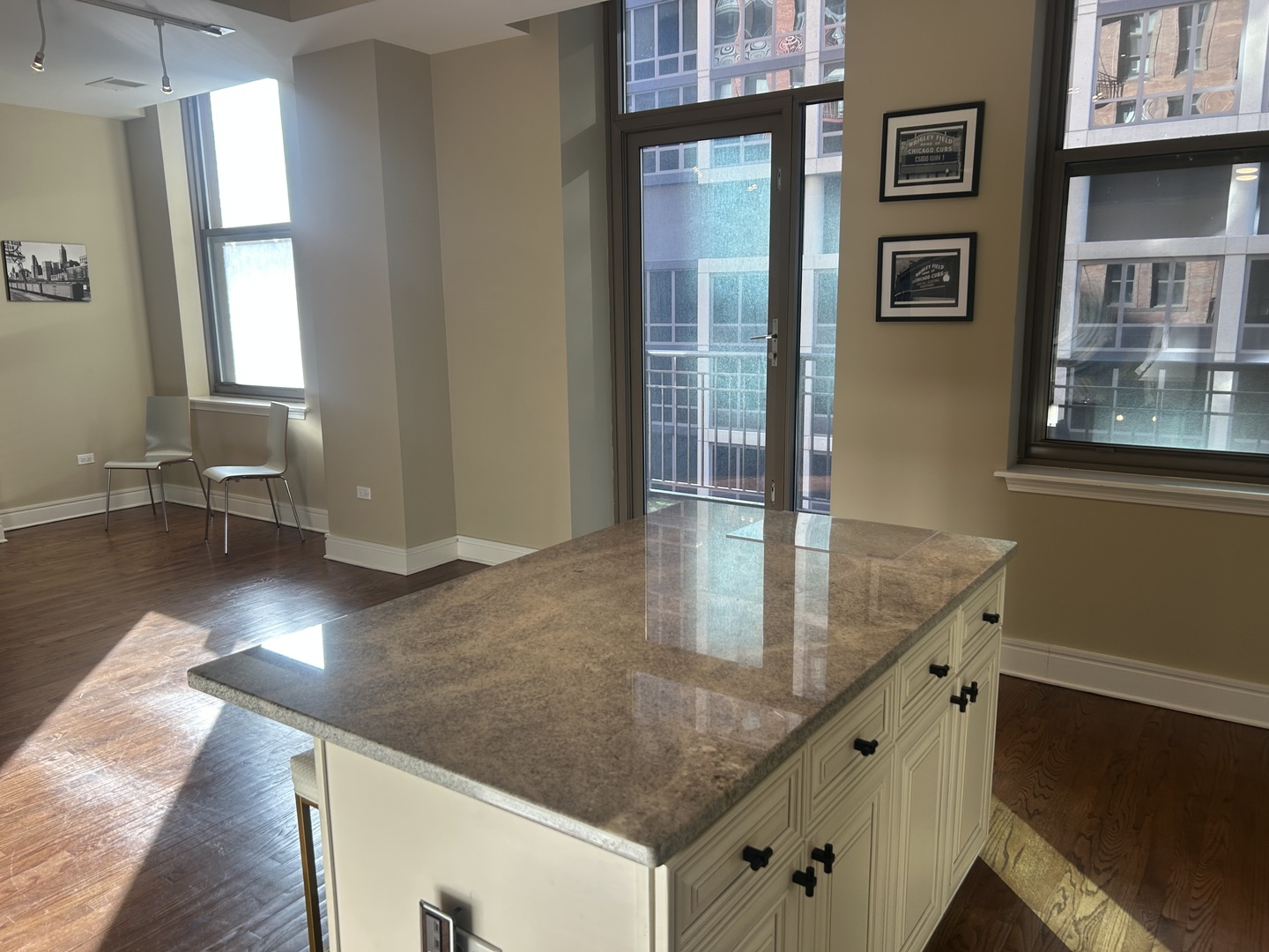 212 W Washington Street Unit: 1002