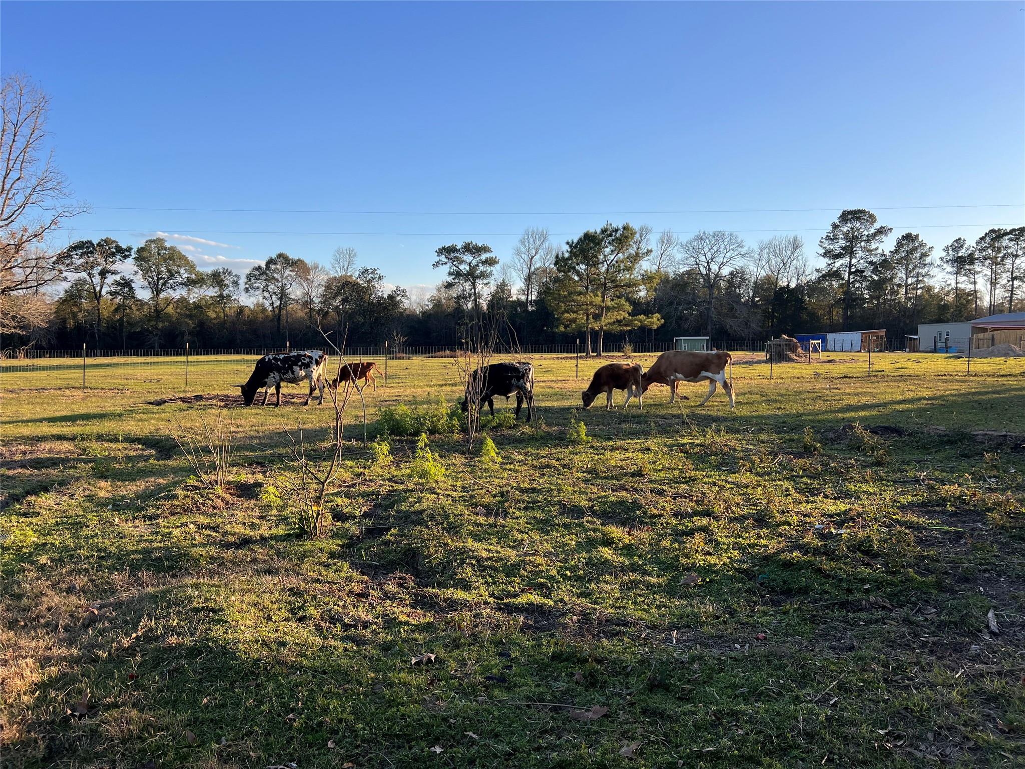 1799 Lilley Yeager Loop S