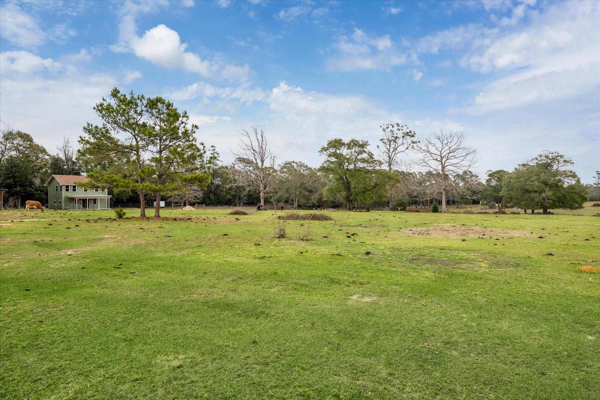 1799 Lilley Yeager Loop S