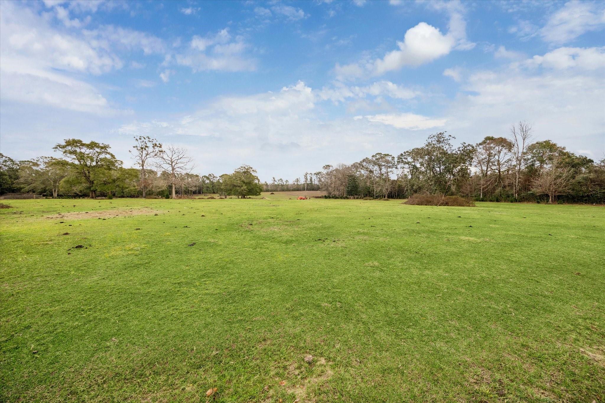 1799 Lilley Yeager Loop S