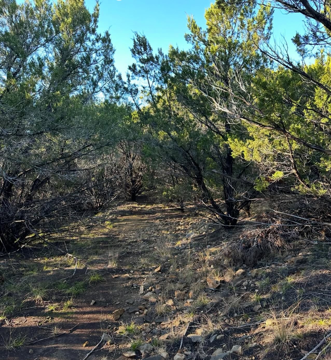 18800 US HWY 180