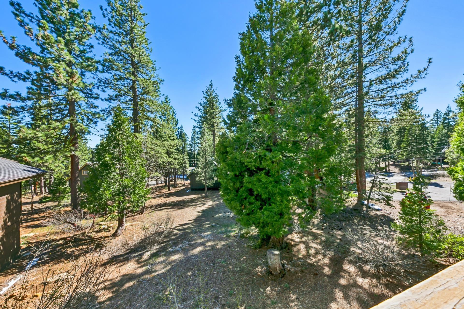 145 Timber Drive
