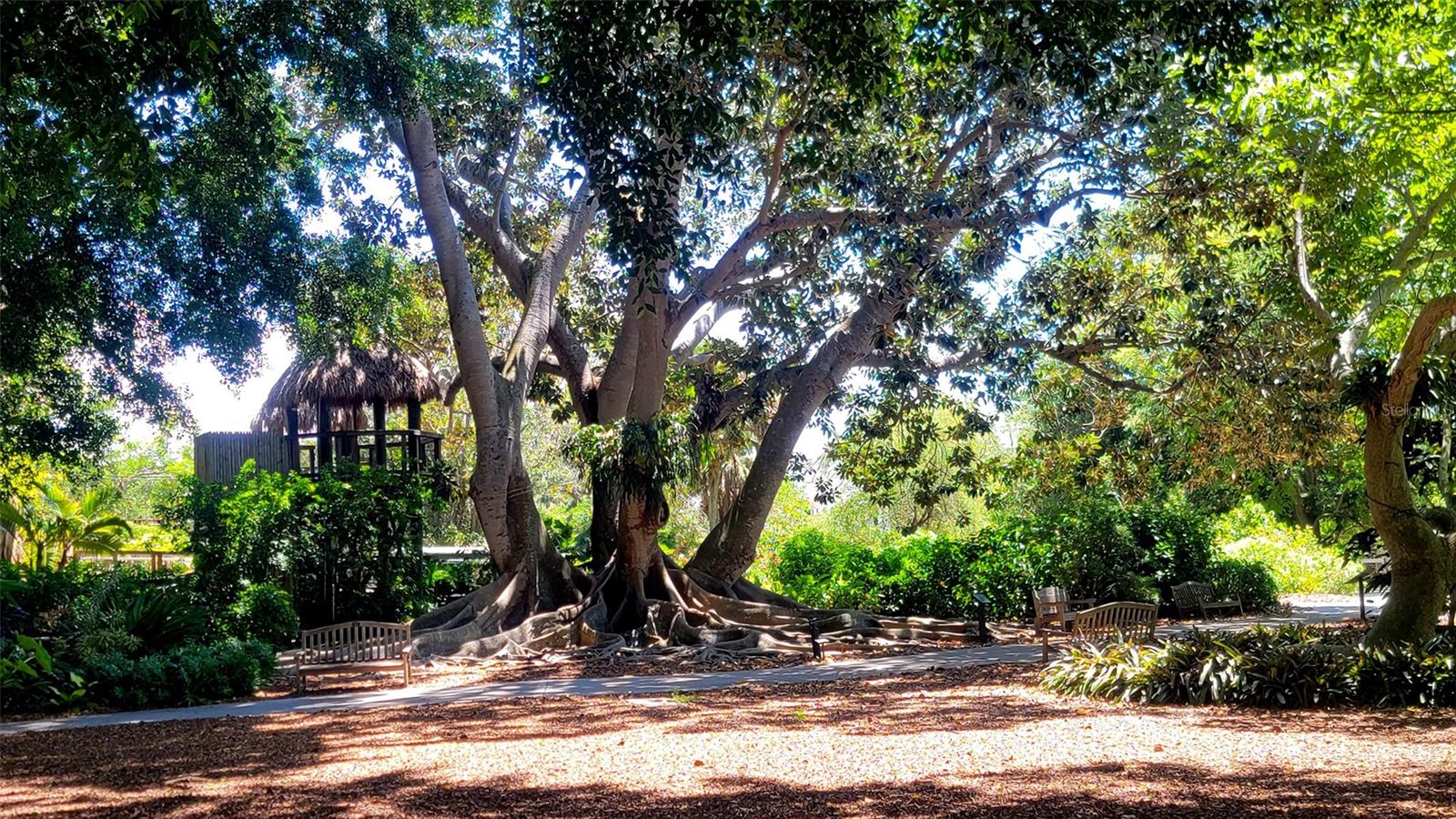 435 S GULFSTREAM AVE #1006