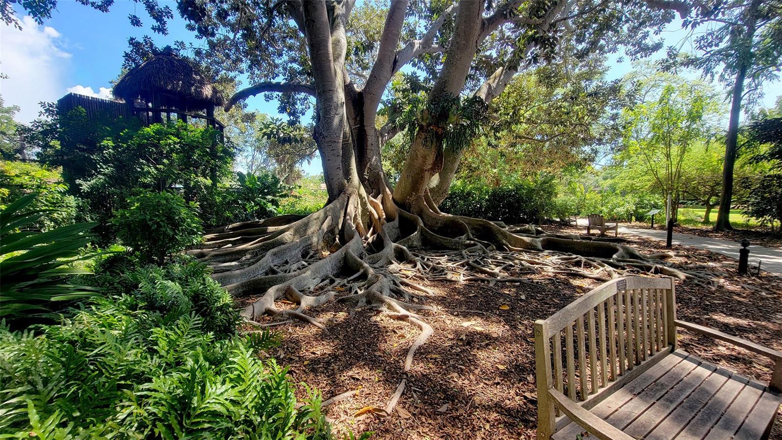 435 S GULFSTREAM AVE #1006