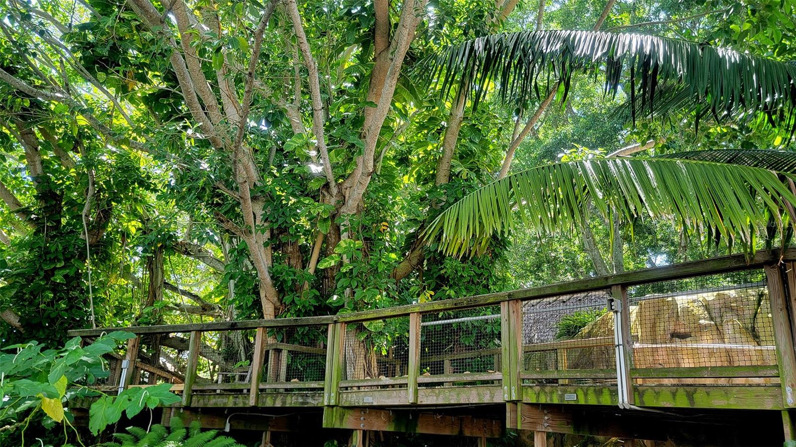 435 S GULFSTREAM AVE #1006