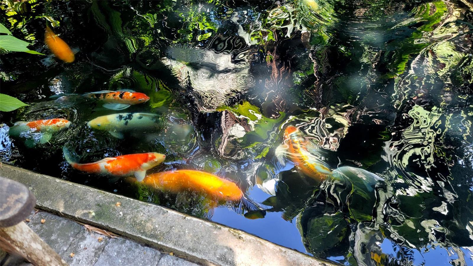 435 S GULFSTREAM AVE #1006