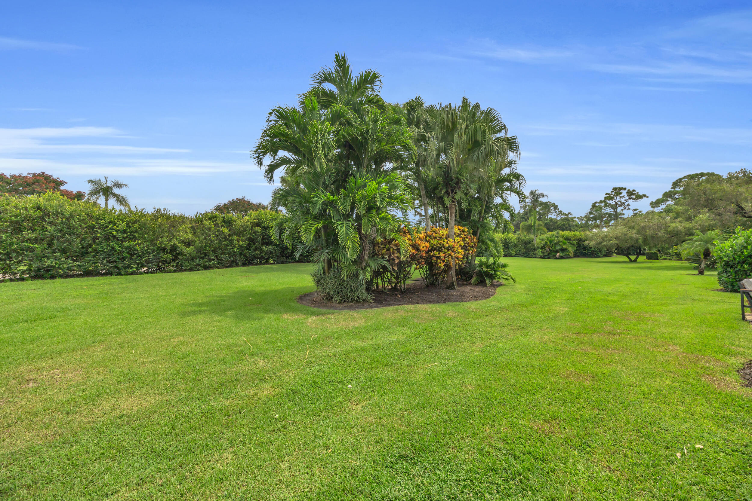 13862 Palm Grove Place