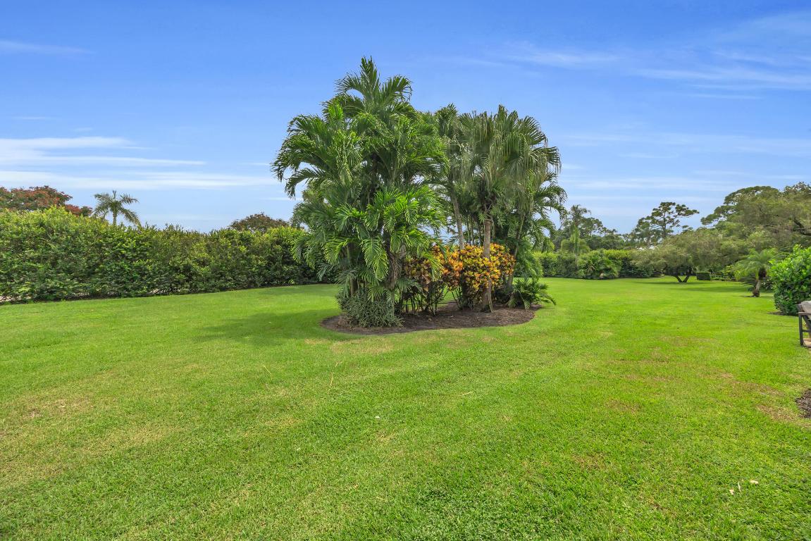 13862 Palm Grove Place