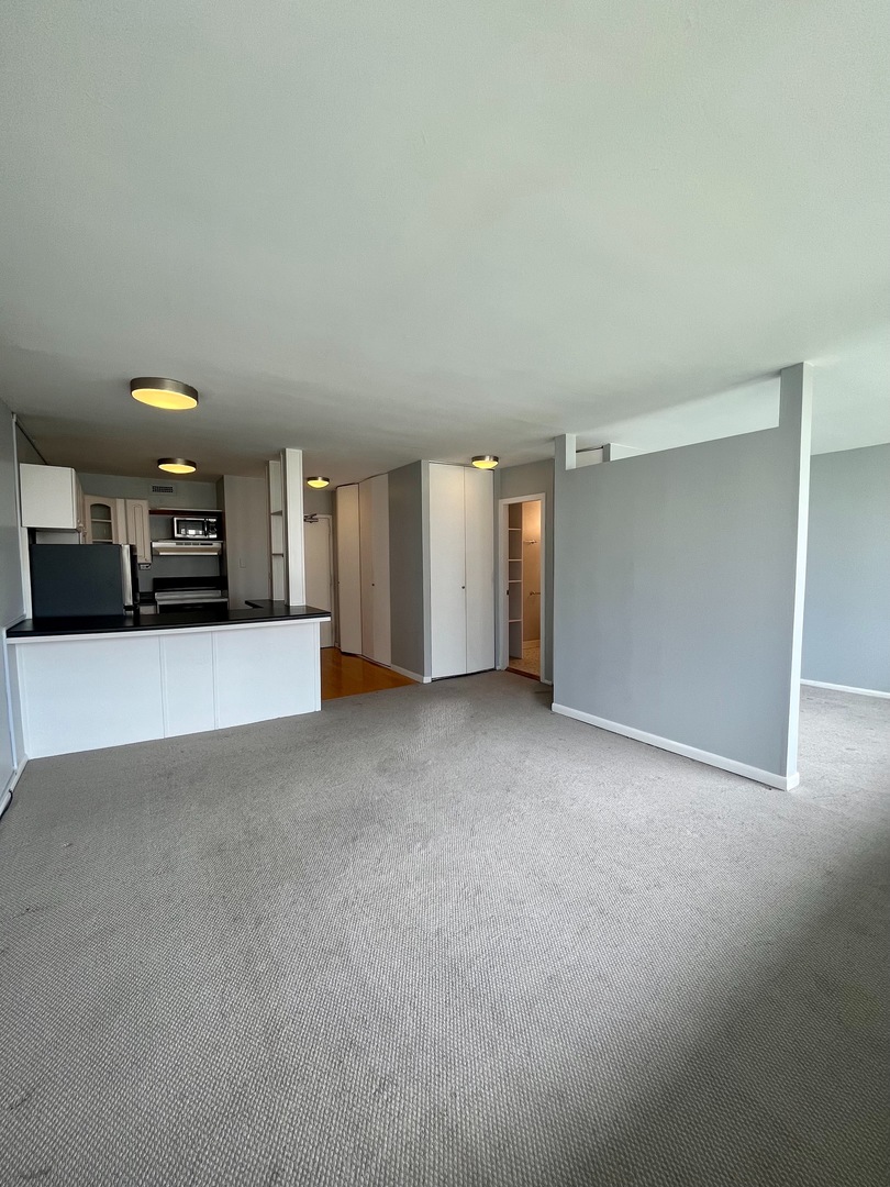 1360 N Sandburg Terrace Unit: 1404C
