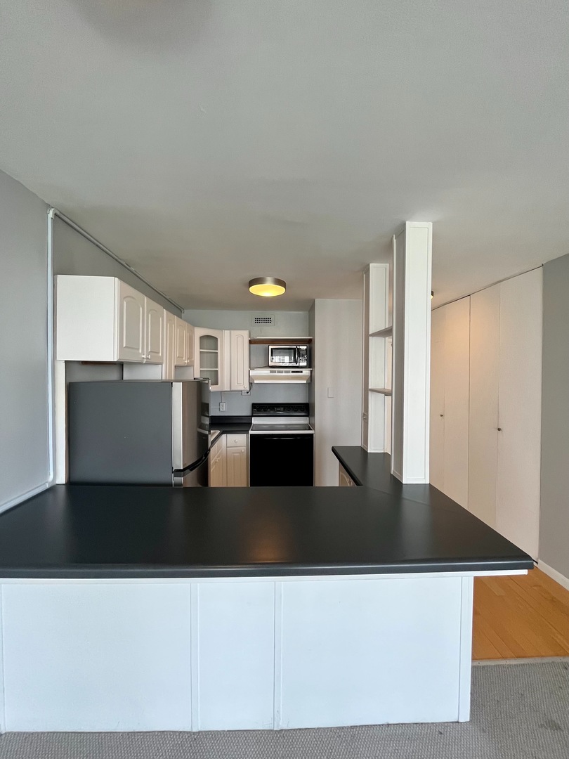 1360 N Sandburg Terrace Unit: 1404C