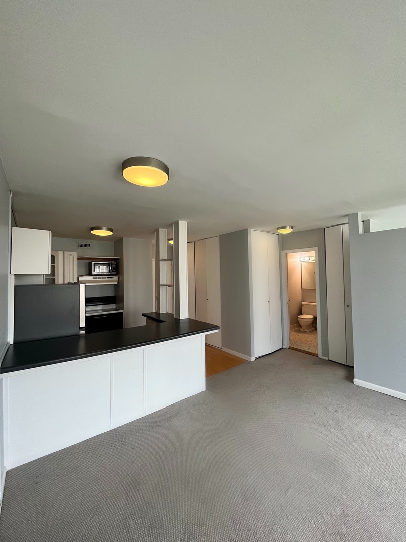 1360 N Sandburg Terrace Unit: 1404C