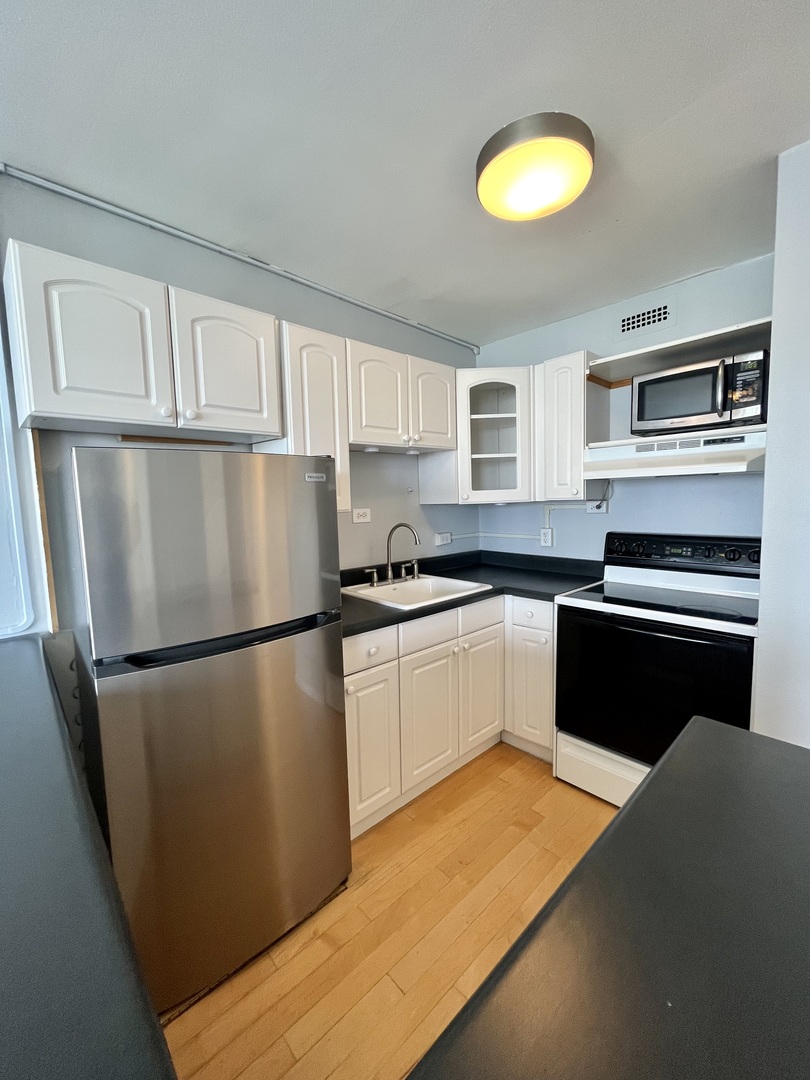 1360 N Sandburg Terrace Unit: 1404C