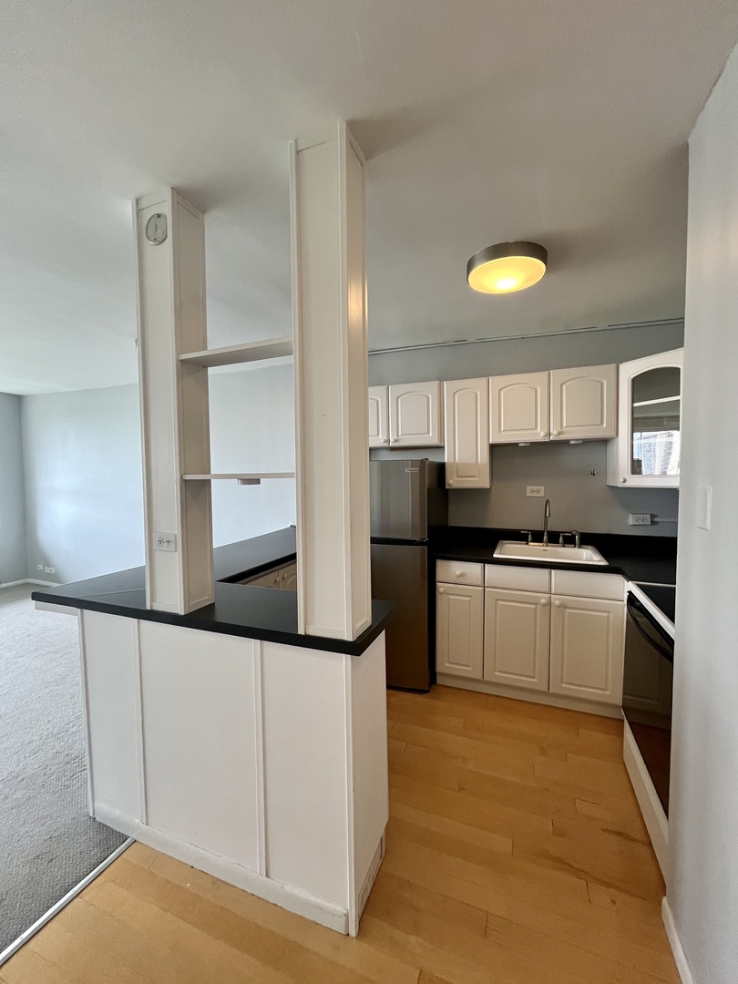 1360 N Sandburg Terrace Unit: 1404C
