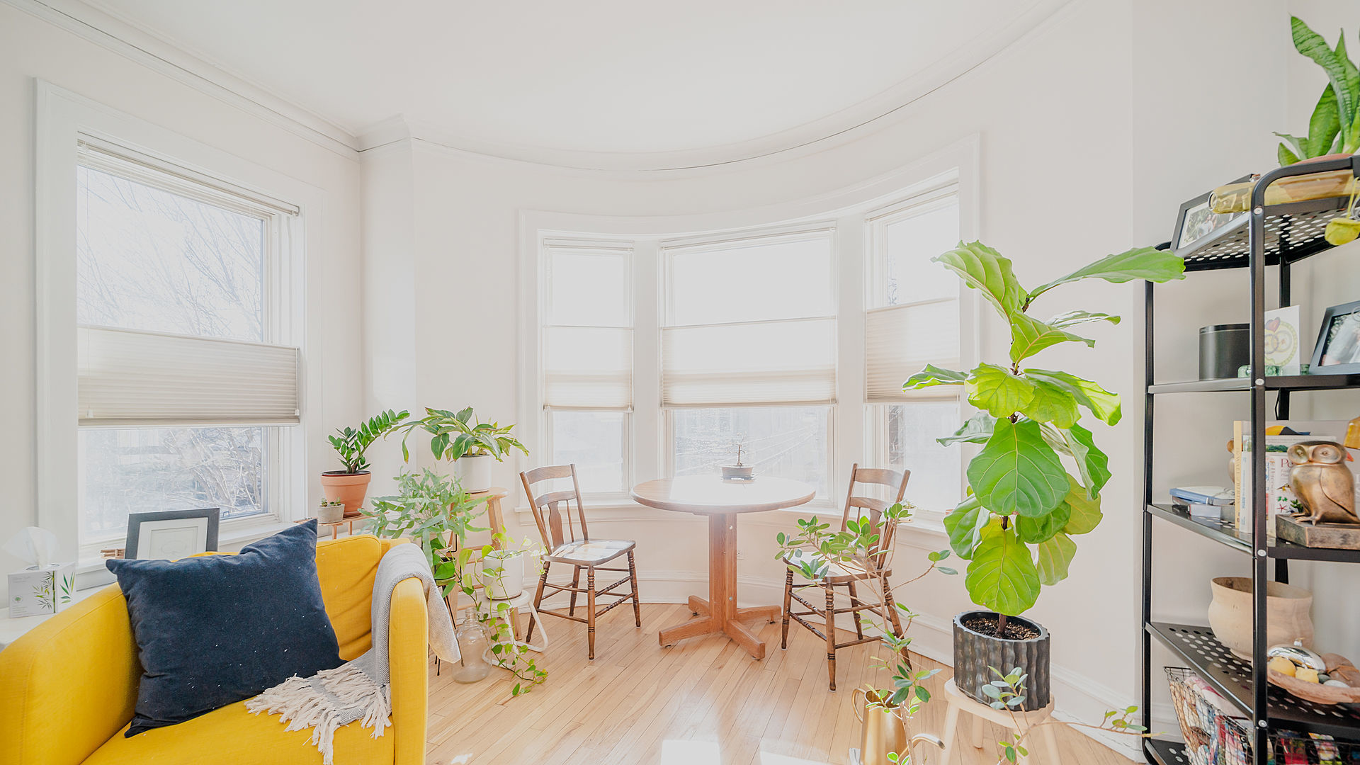 1946 W Patterson Avenue Unit: 2