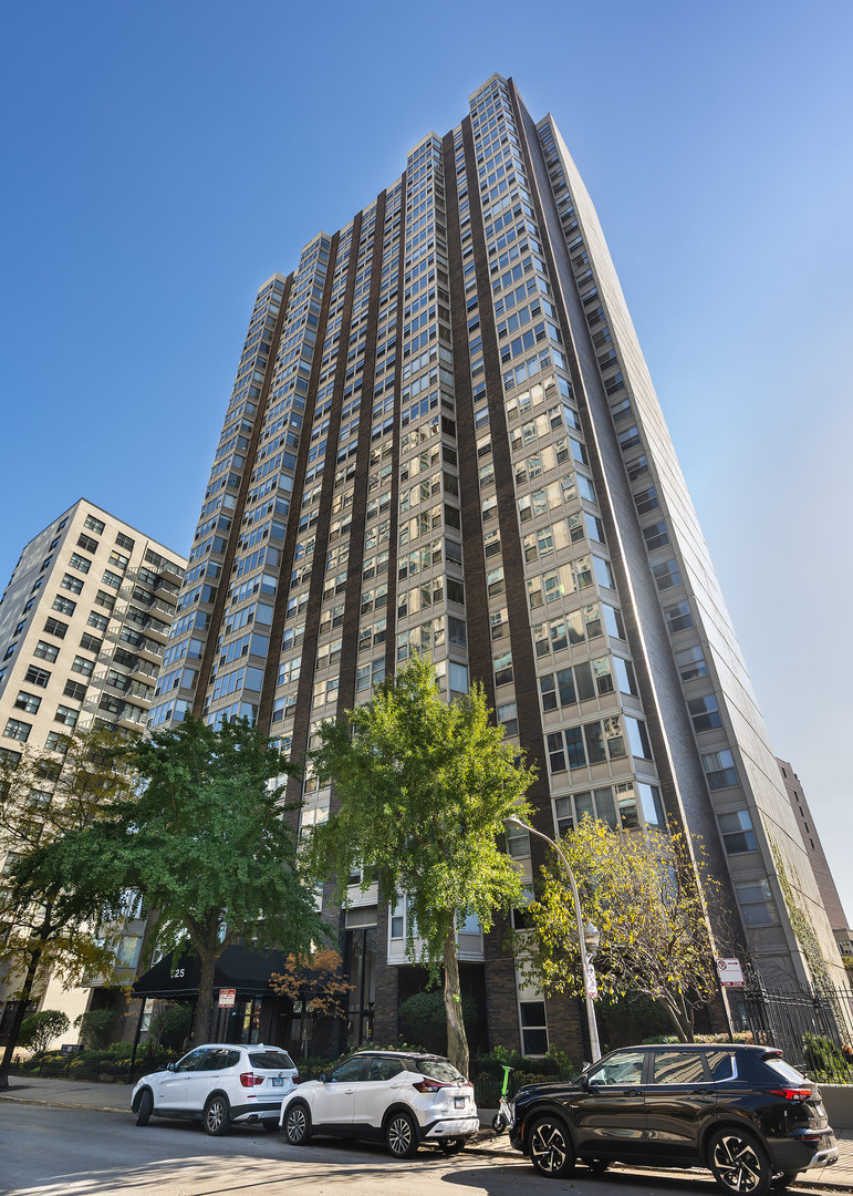 525 W HAWTHORNE Place Unit: 1204