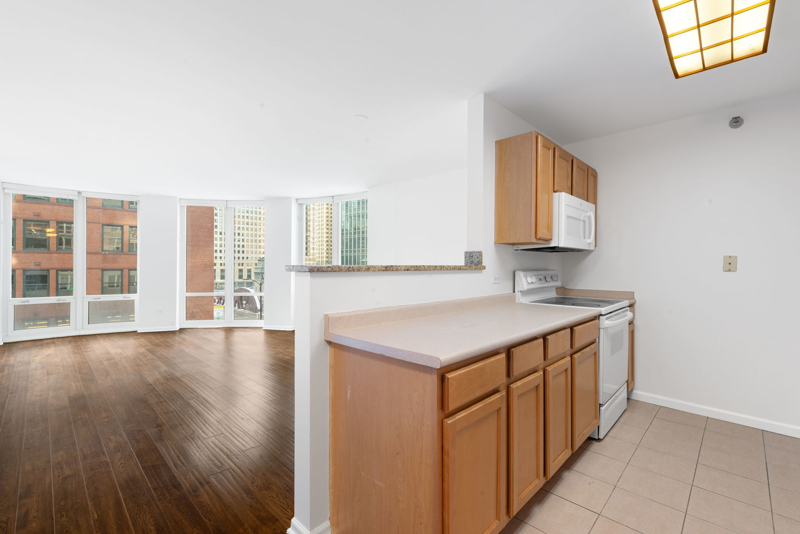 345 N LaSalle Street Unit: 407