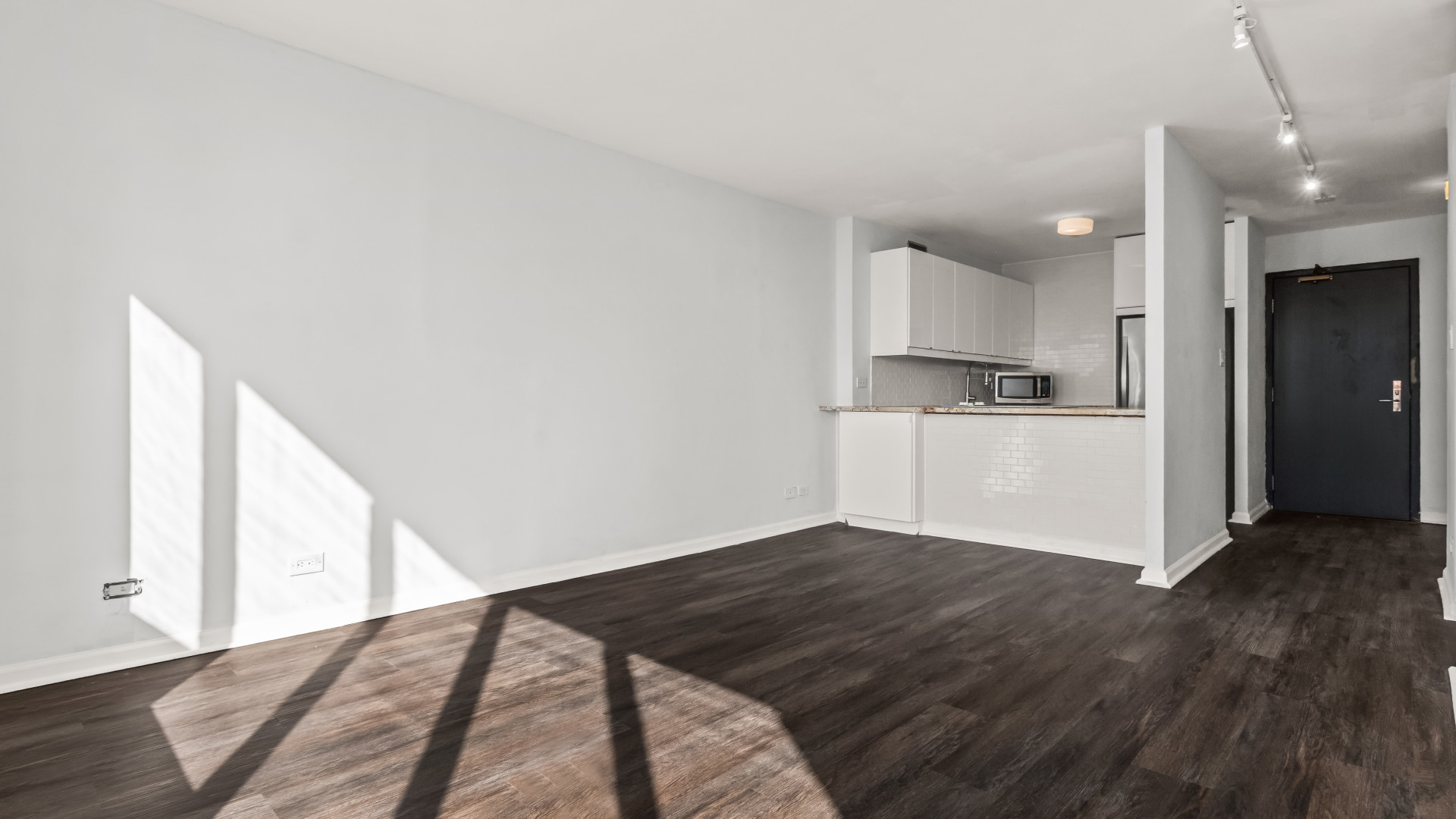 3930 N PINE GROVE Avenue Unit: 1106