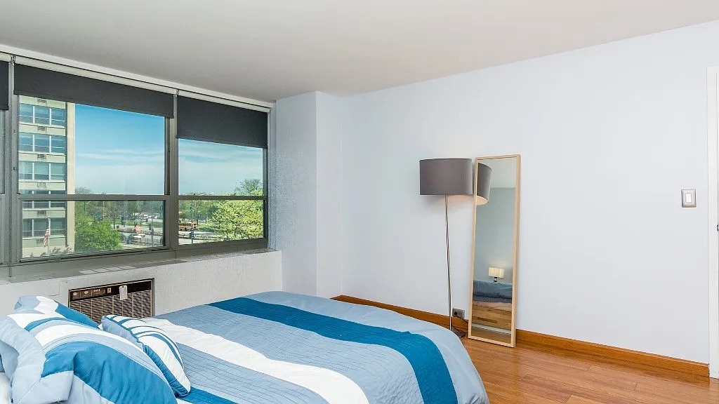 3550 N Lake Shore Drive Unit: 301