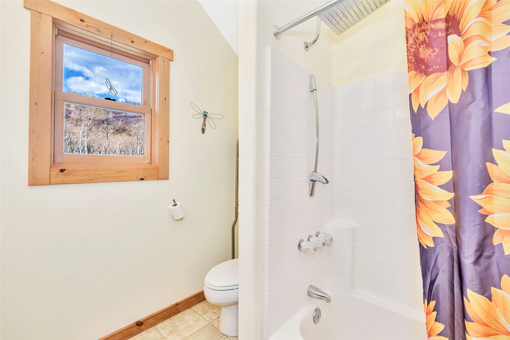 24425 Rawhide TRAIL