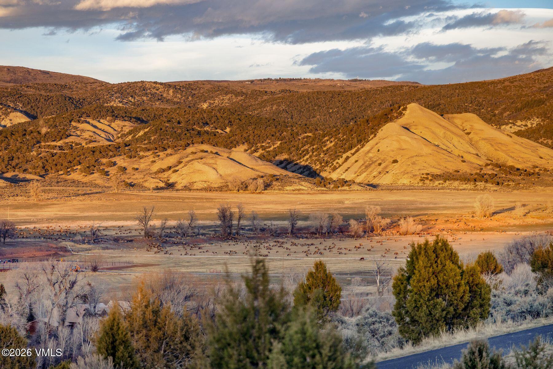 891 E Haystacker Drive