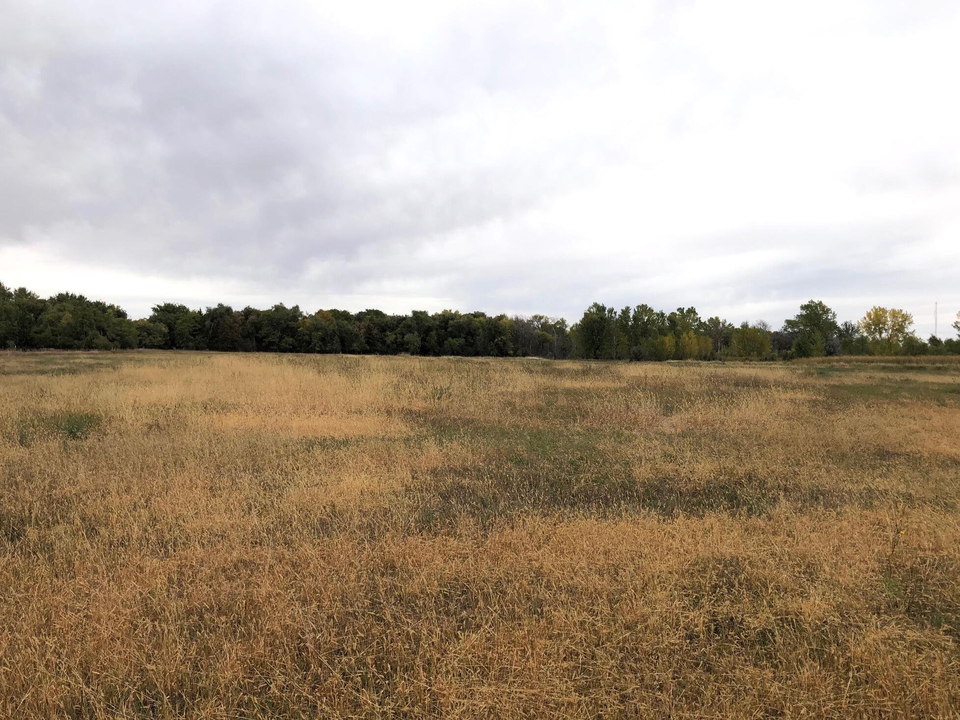 TBD I-90 & S Ohlman St