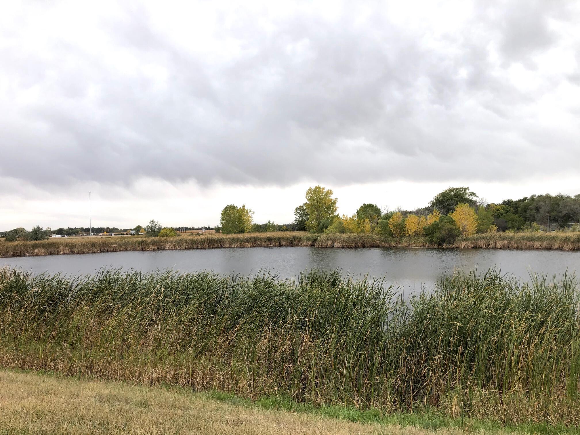 TBD I-90 & S Ohlman St