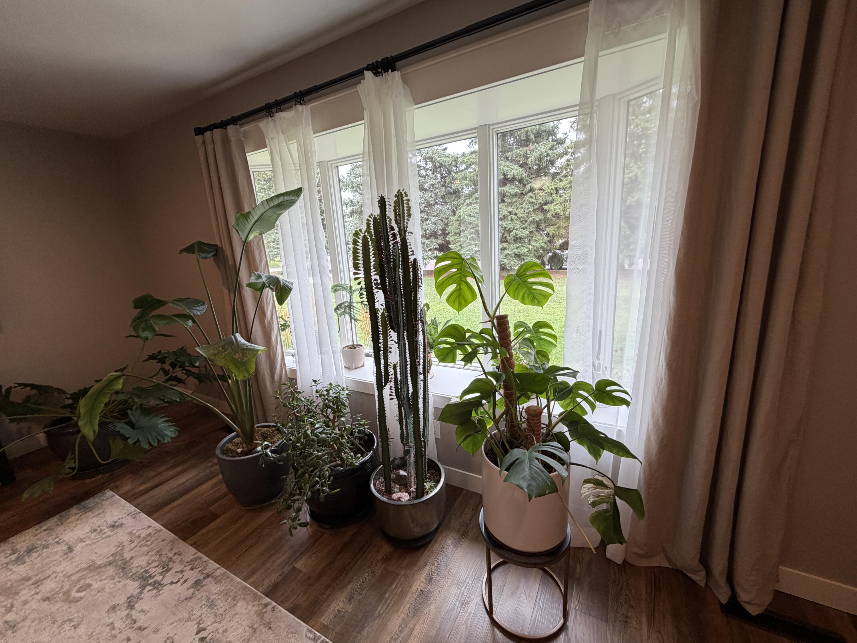 1010 Chalkstone Dr