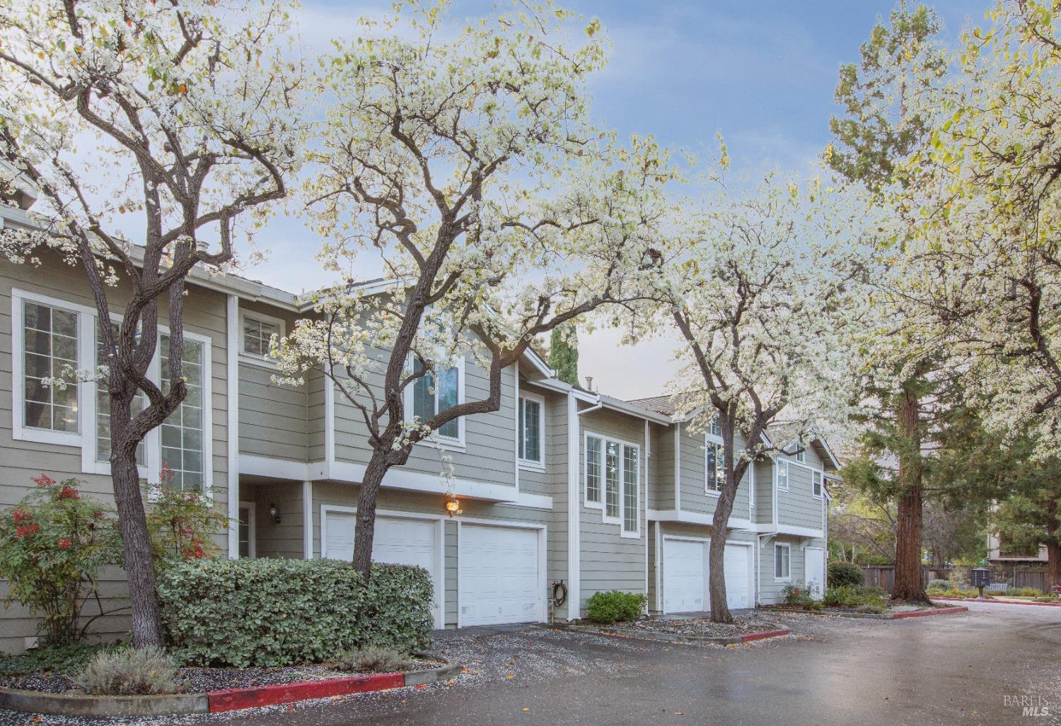 172 Ada Ave #3