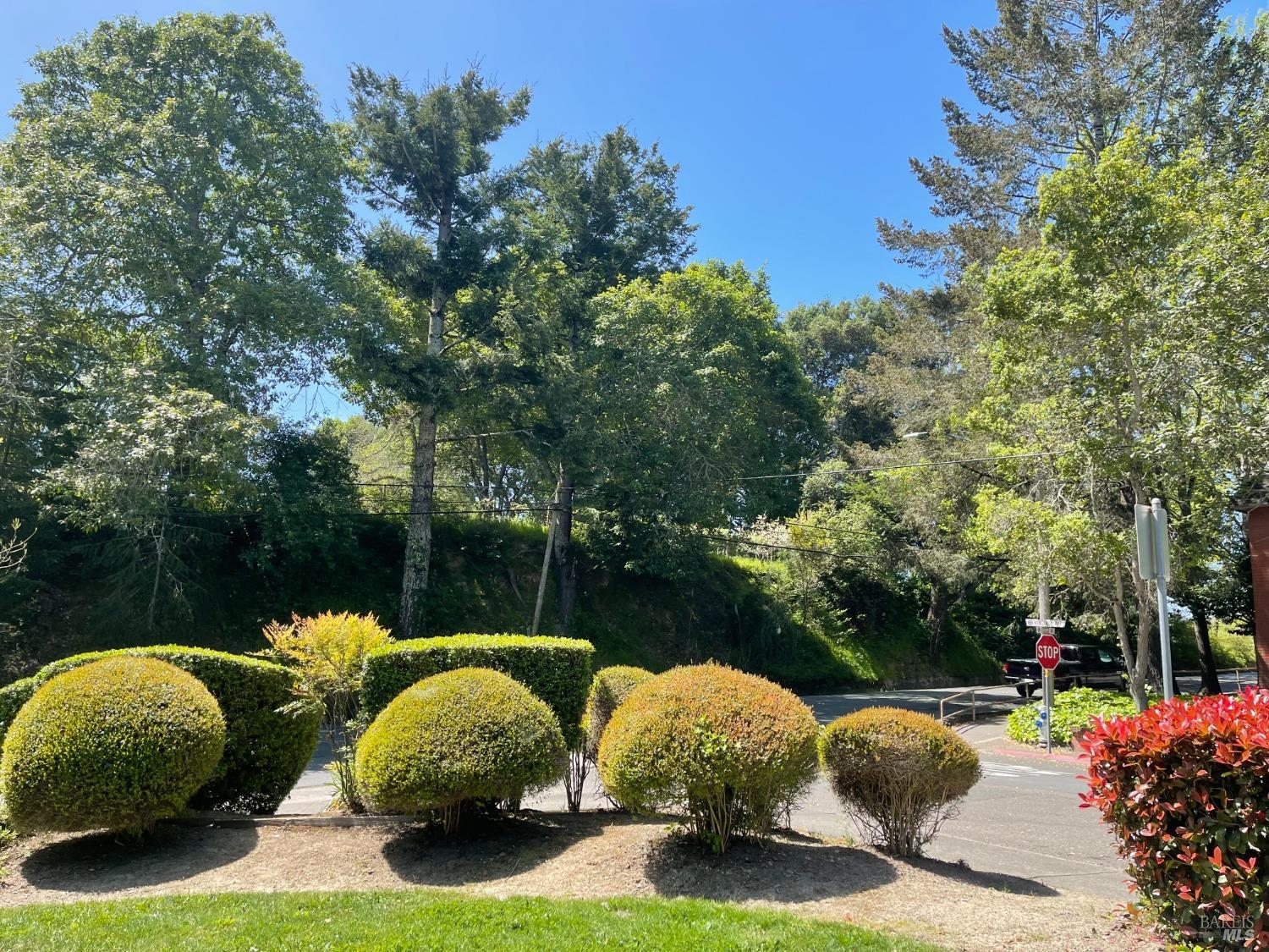 105 Virginia Ave #1