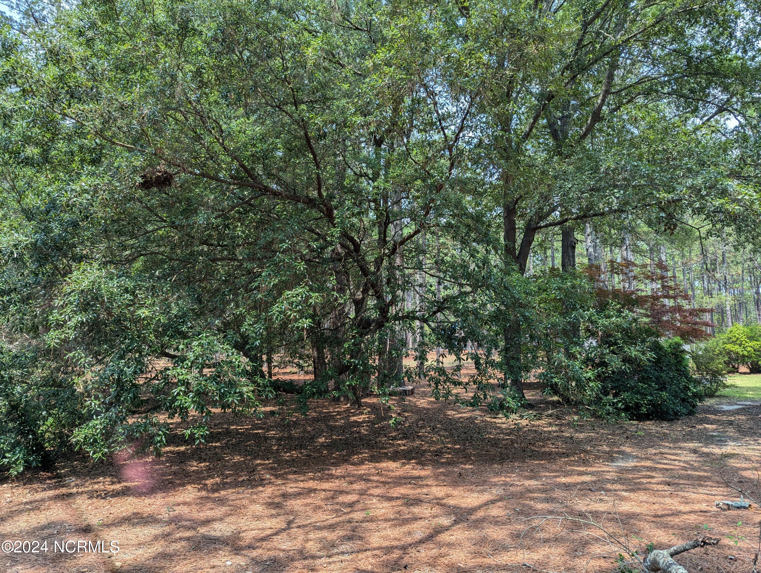 180 Rountree Lane