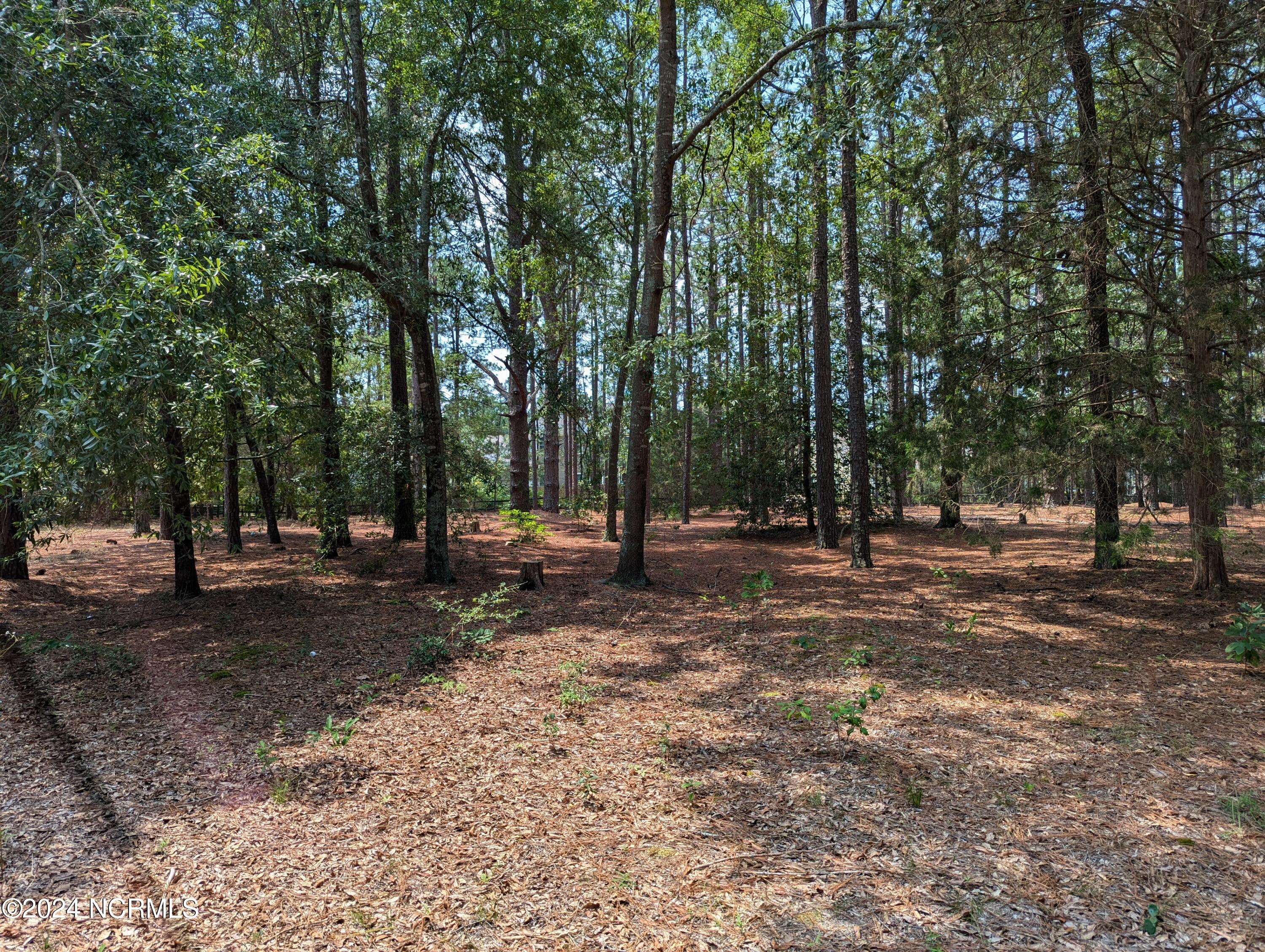 180 Rountree Lane