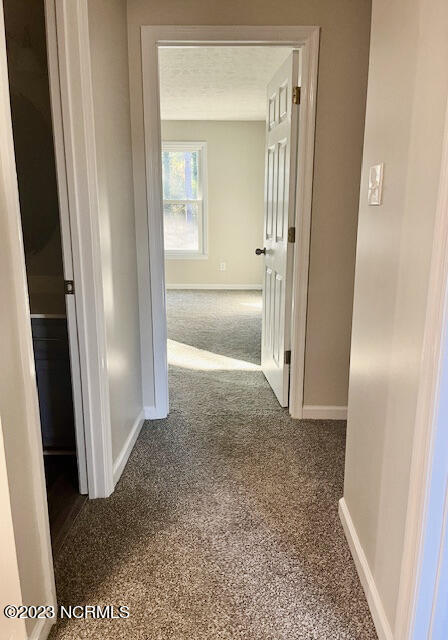 7205 Merganser Place