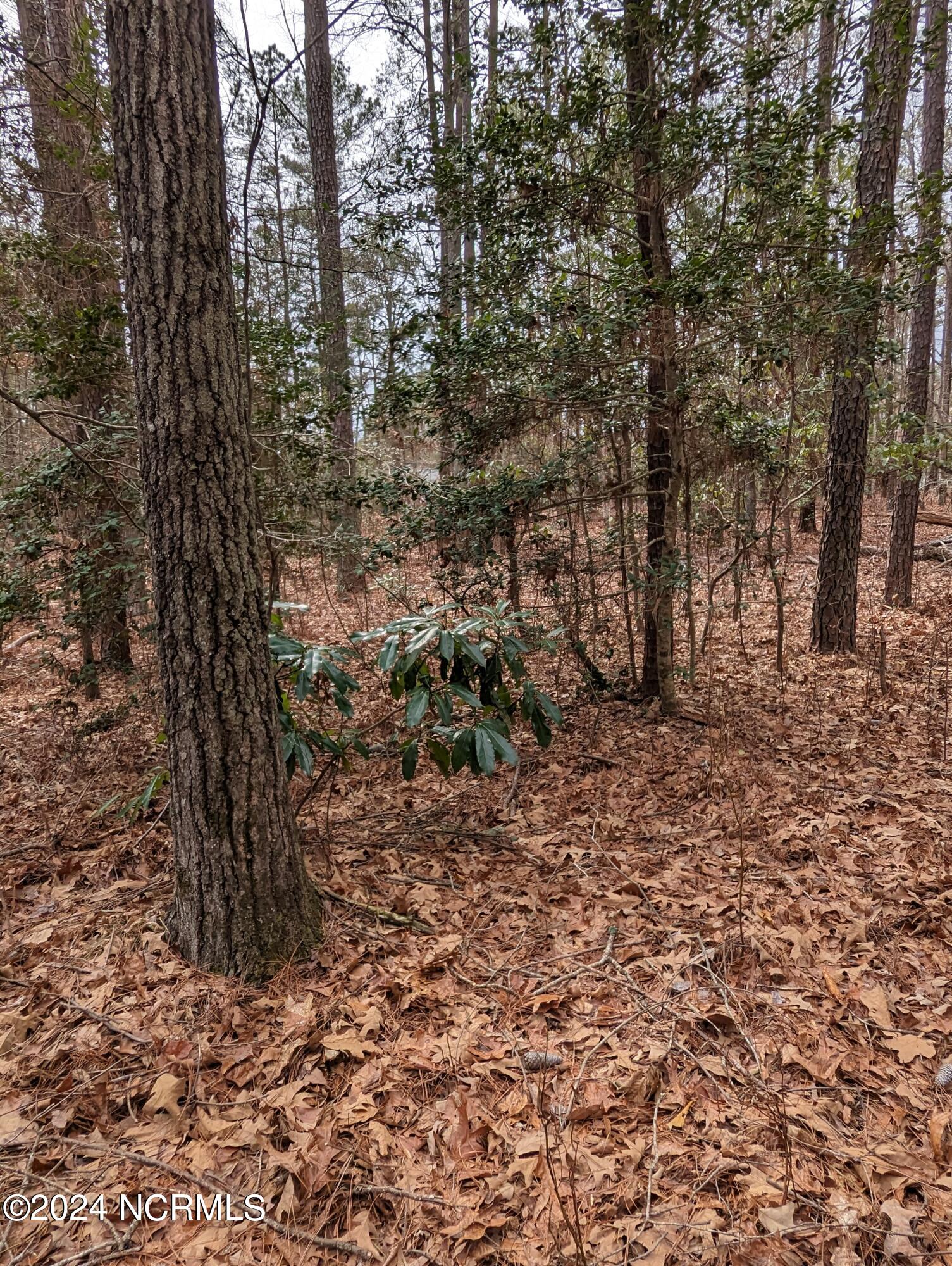 148 58 Lakeview Drive