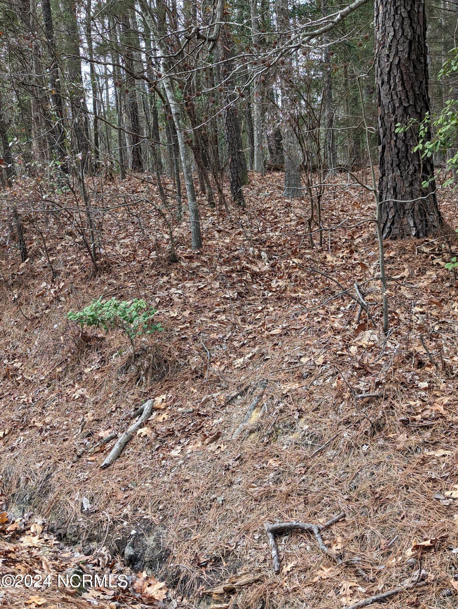 148 58 Lakeview Drive