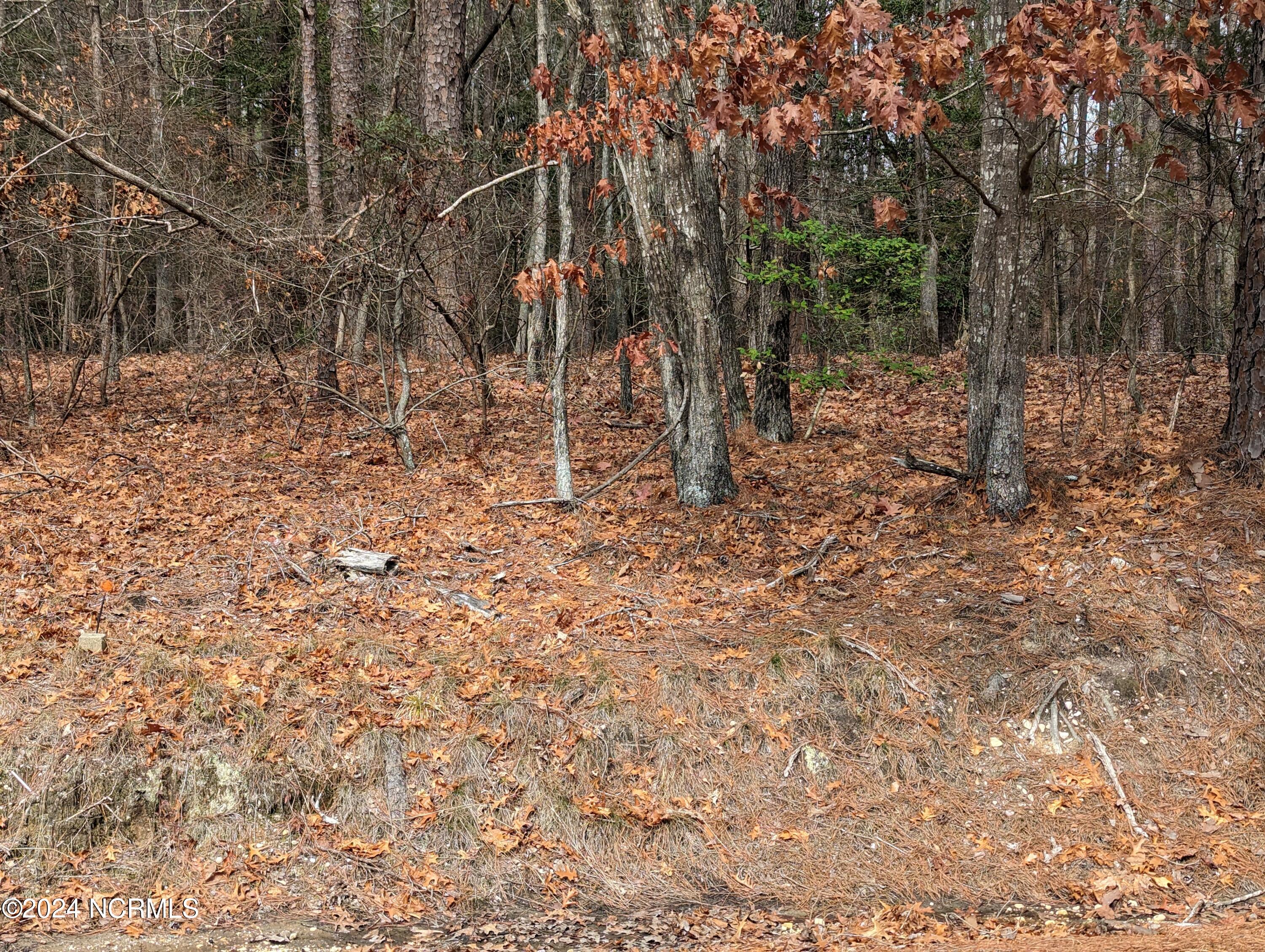 148 58 Lakeview Drive