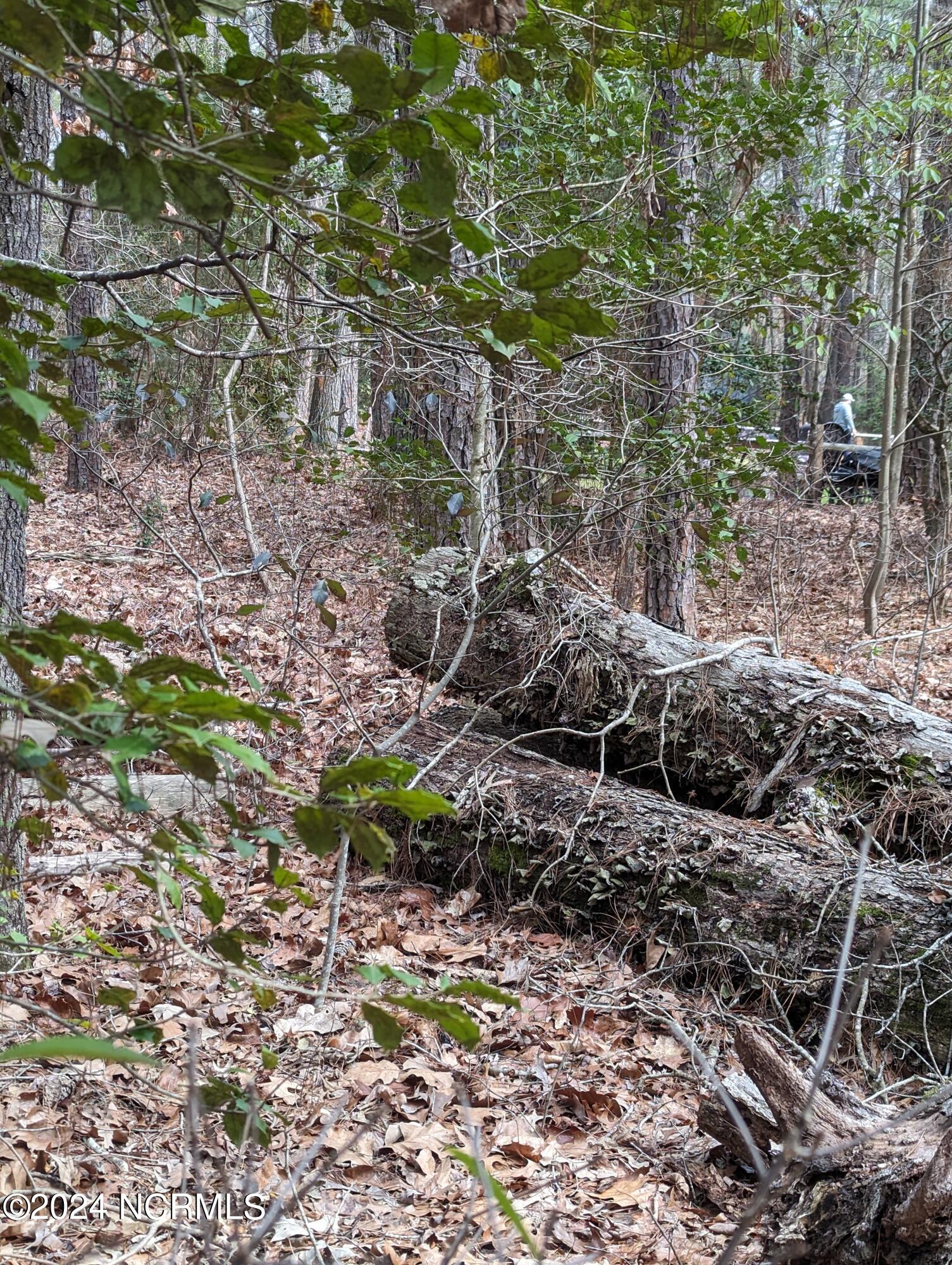 148 58 Lakeview Drive