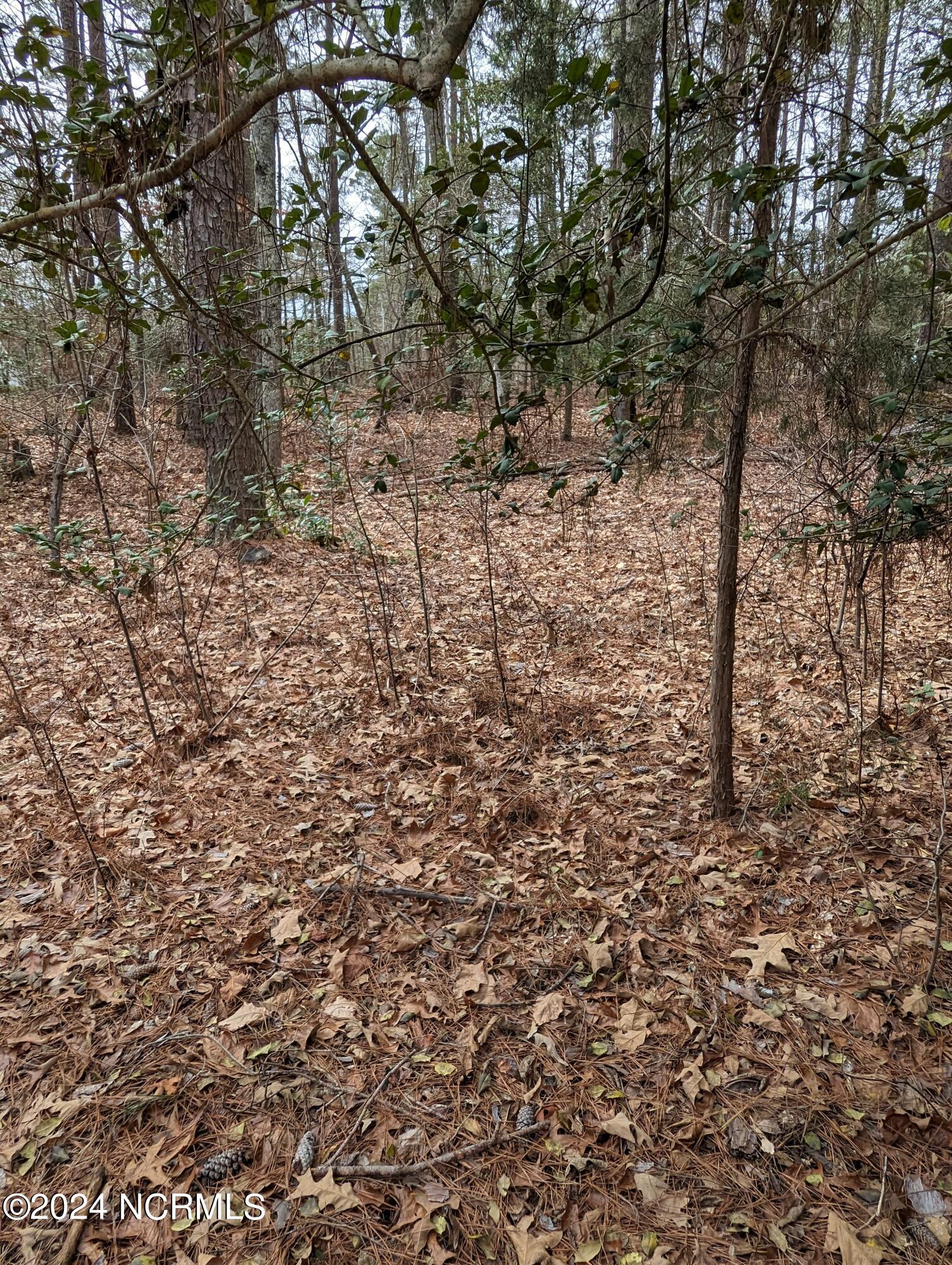 148 58 Lakeview Drive