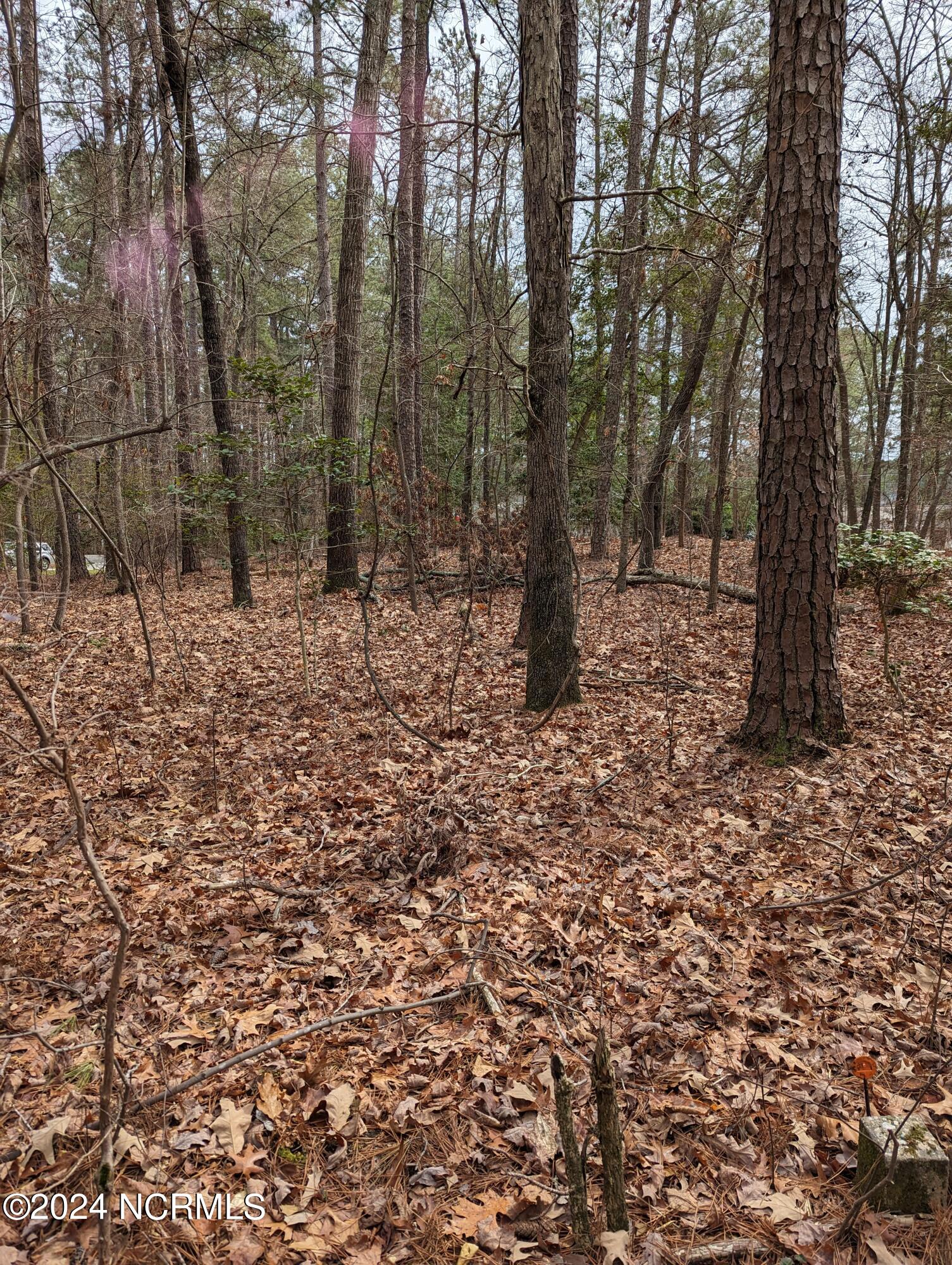 148 58 Lakeview Drive