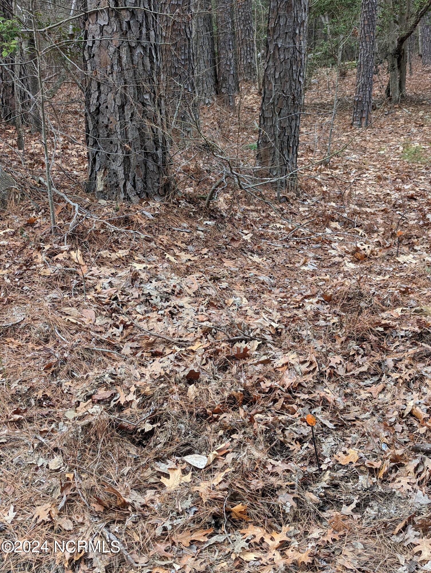 148 58 Lakeview Drive