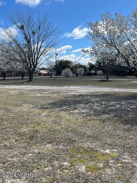 2001 Mcdonald Avenue