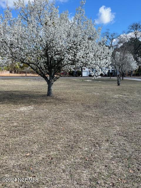 2001 Mcdonald Avenue