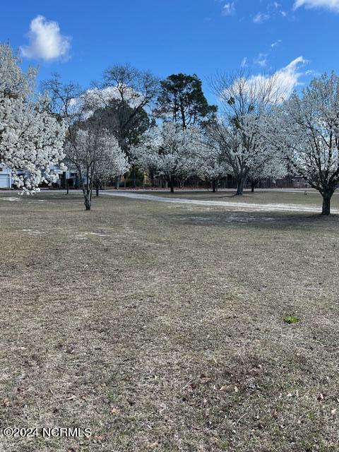 2001 Mcdonald Avenue