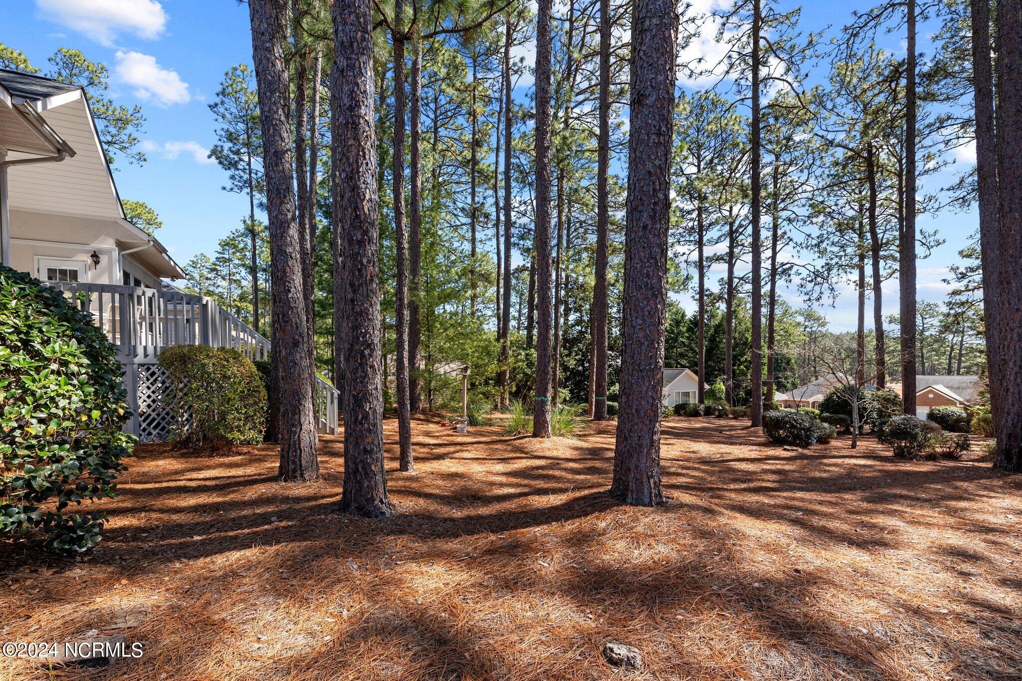 115 Triple Crown Circle