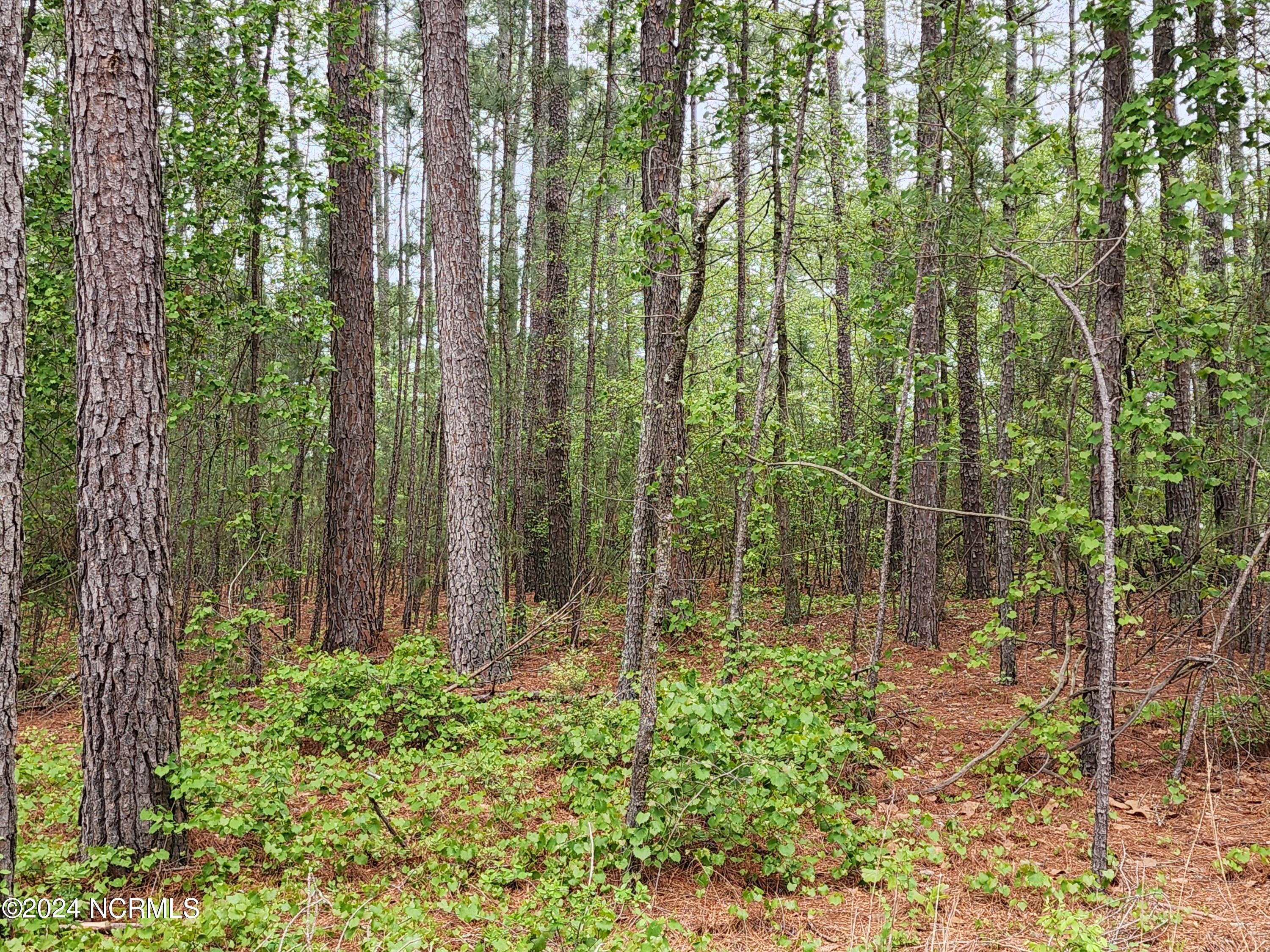 40 40 Loblolly Court