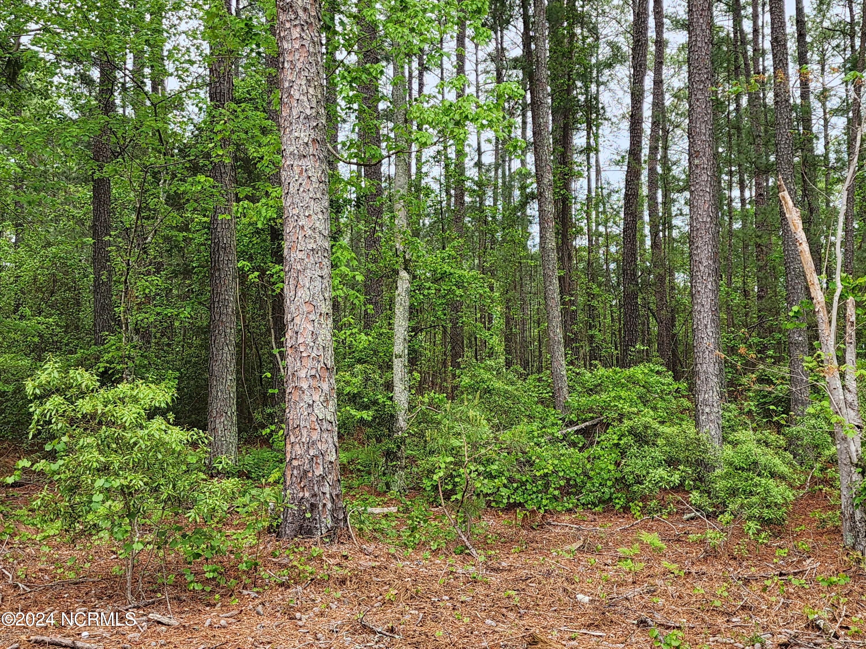 40 40 Loblolly Court